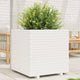 VidaXL Plantenbak 70x70x72 cm massief grenenhout wit