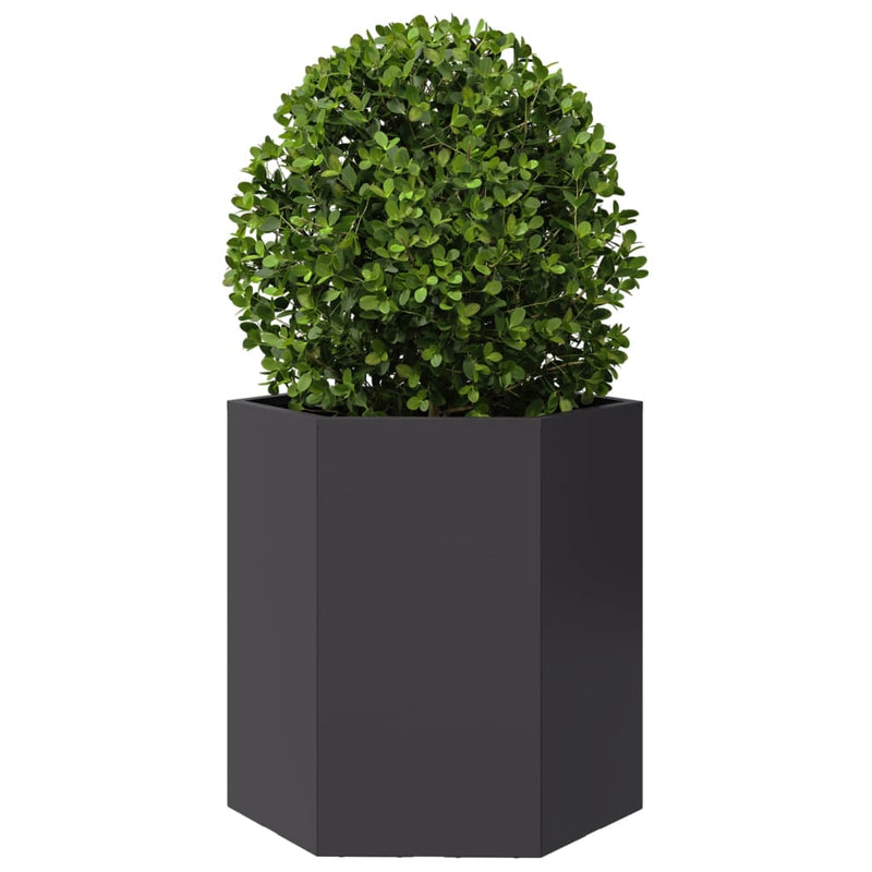 Load image into Gallery viewer, Vidaxl plantenbak zeshoek 46x40x45 cm staal zwart
