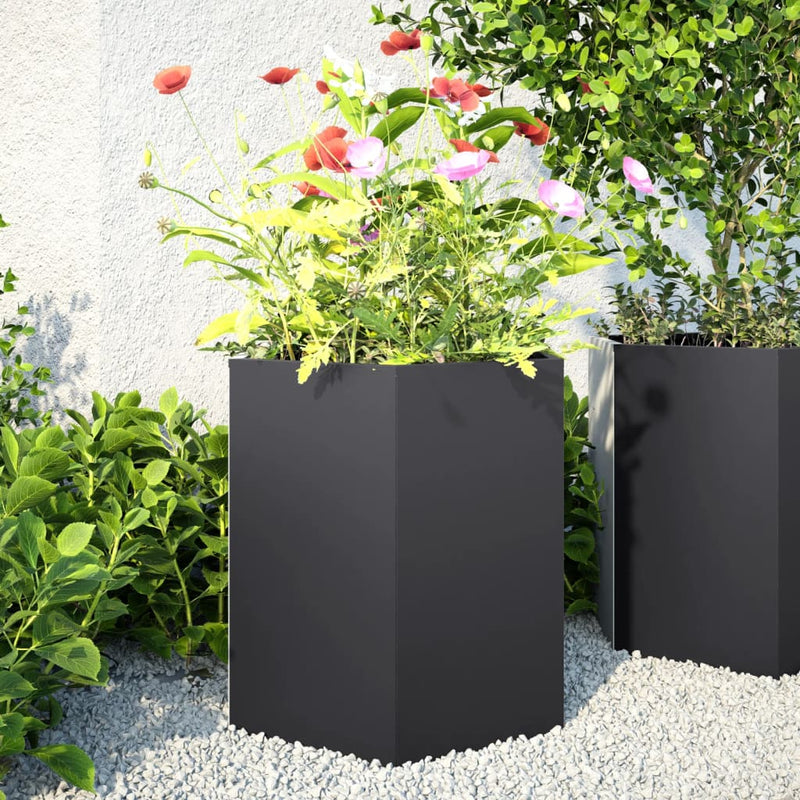 Load image into Gallery viewer, Vidaxl plantenbak zeshoek 46x40x45 cm staal zwart
