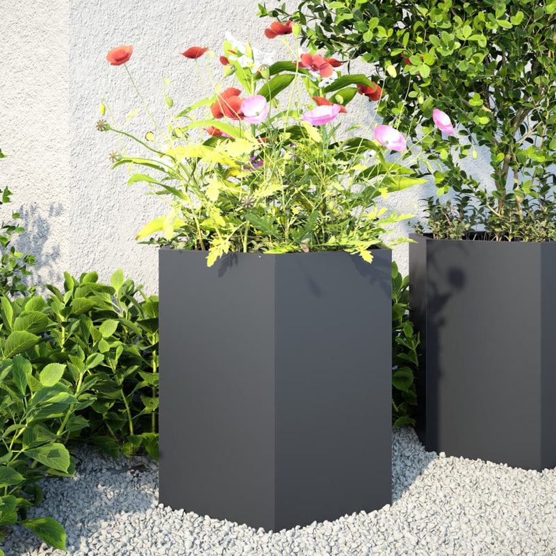 Load image into Gallery viewer, Vidaxl plantenbakken 2 st zeshoek 46x40x45 cm staal antracietkleurig
