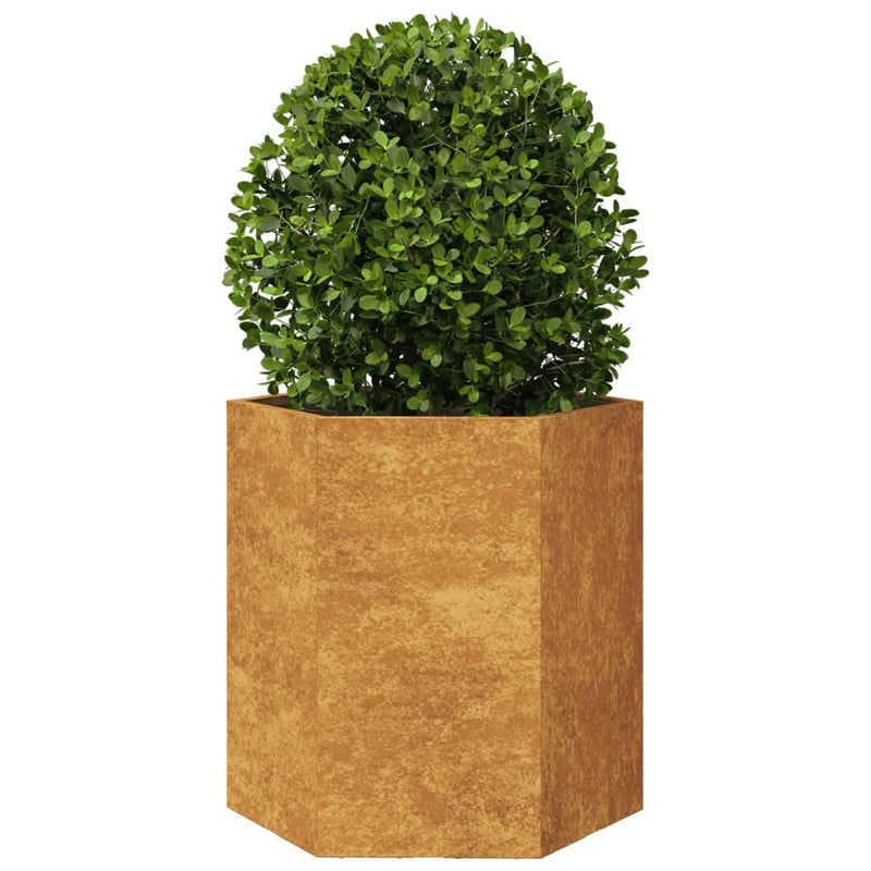 Load image into Gallery viewer, VidaXL Plantenbak zeshoek 46x40x45 cm cortenstaal
