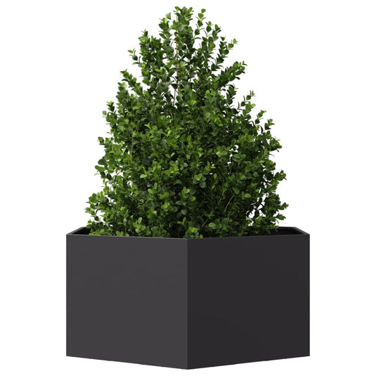 Vidaxl plantenbak zeshoek 104x90x45 cm staal zwart