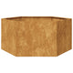 Vidaxl plantenbak zeshoek 104x90x45 cm weervast staal