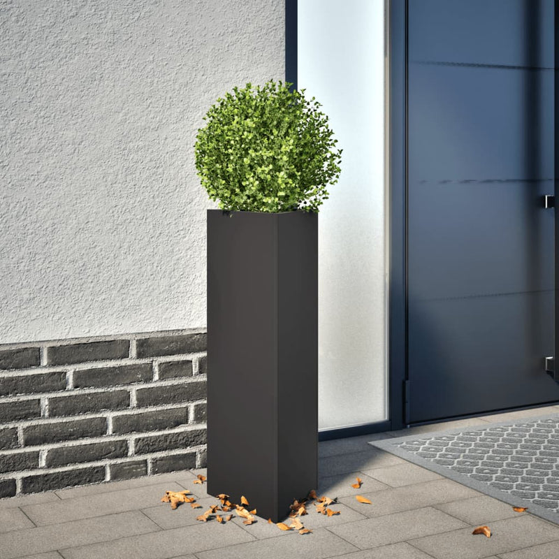 Load image into Gallery viewer, Vidaxl plantenbakken 2 st driehoek 30x26x75 cm staal zwart
