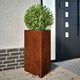 Vidaxl plantenbakken 2 st driehoekig 50x43x75 cm weervast staal