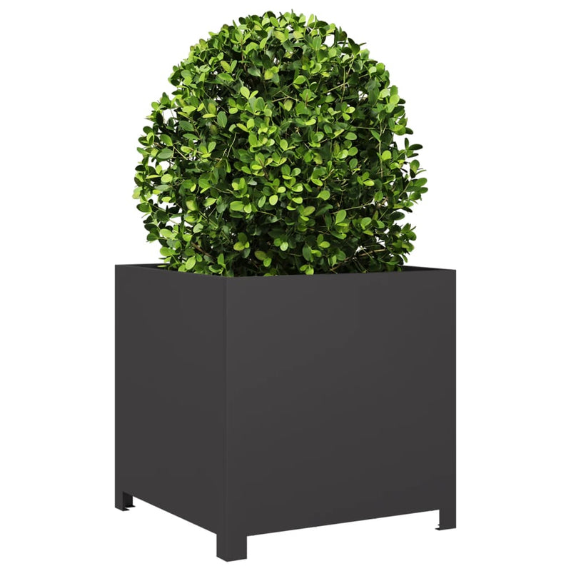Load image into Gallery viewer, Vidaxl plantenbak 50x50x50 cm staal zwart
