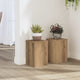 Vidaxl plantenstandaards 2 st 20x20x30 cm hout artisanaal eiken