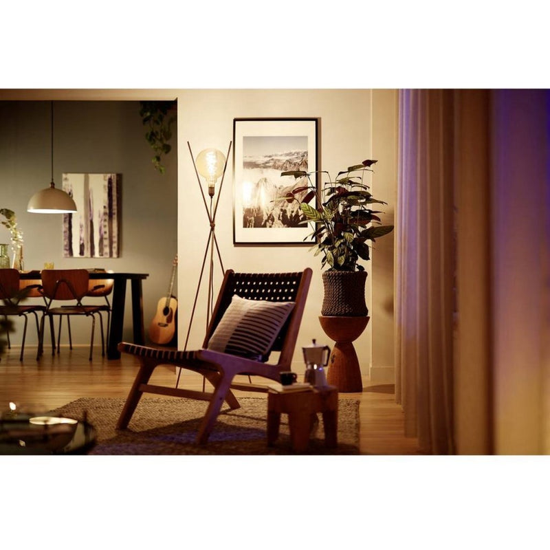 Load image into Gallery viewer, Philips vintage led dimbare globe g95 e27 60w amberkleurig glas
