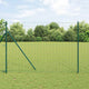 Vidaxl hek met paal groen 1,6 x 10 m staal en pvc