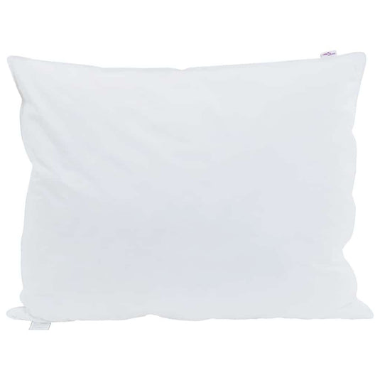 Vidaxl hoofdkussen met kussen 2 pcs wit 50 x 75 cm veren