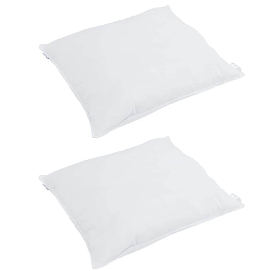 Vidaxl hoofdkussen met kussen 2 pcs wit 60 x 60 cm veren