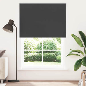 Vidaxl rolgordijn verduisterend 160x210 cm stofbreedte 156,6 cm zwart