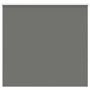 Vidaxl rolgordijn verduisterend 165x175 cm stofbreedte 161,6 cm grijs