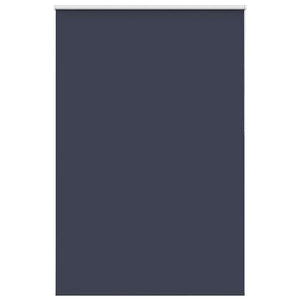 Vidaxl rolgordijn verduisterend 165x210 cm stofbreedte 161,6 cm blauw