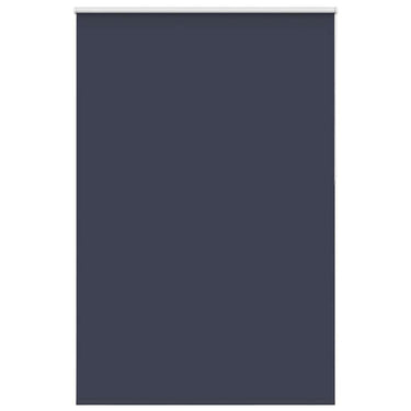 Vidaxl rolgordijn verduisterend 165x210 cm stofbreedte 161,6 cm blauw