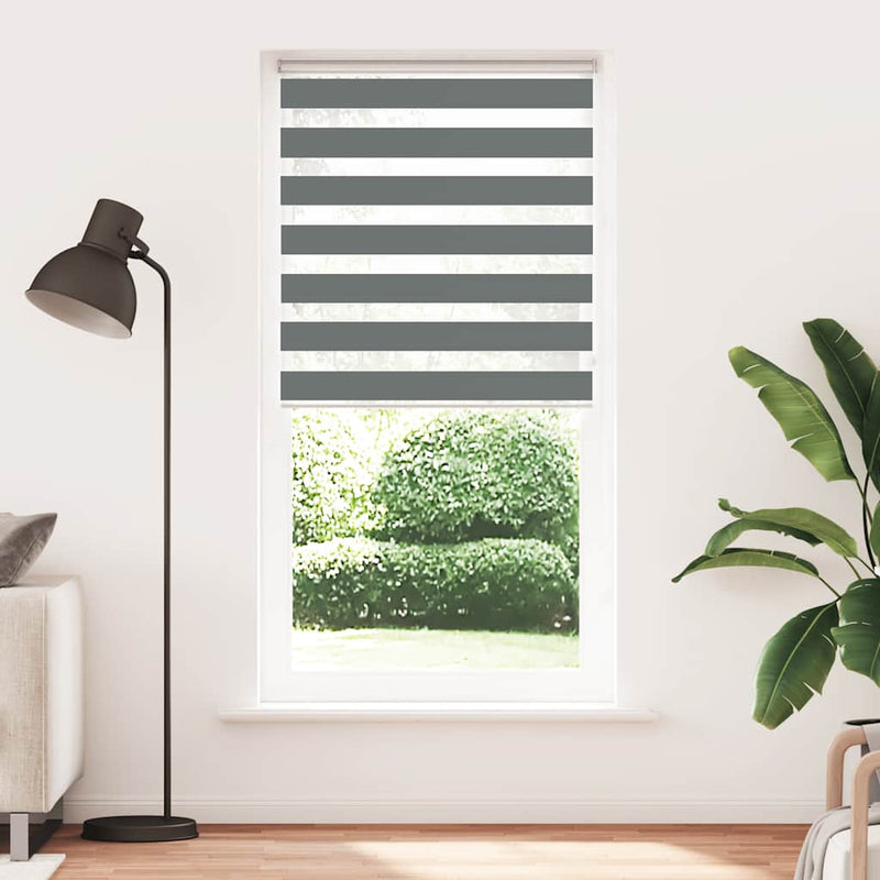 Load image into Gallery viewer, Vidaxl zebra rolgordijn 100x230 cm stofbreedte 95,9 cm donkergrijs
