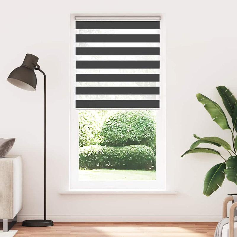 Chargez l'image dans la visionneuse de la galerie, Vidaxl zebra rolgordijn 100x230 cm stofbreedte 95,9 cm zwart
