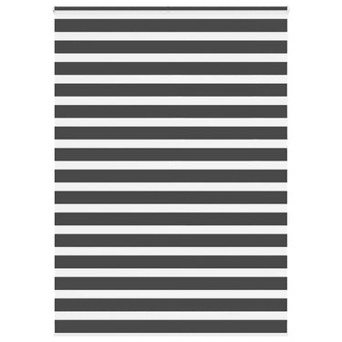 Vidaxl zebra rolgordijn 165x230 cm stofbreedte 160,9 cm zwart