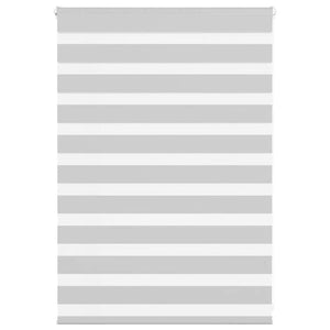 Vidaxl zebra rolgordijn 105x100 cm stofbreedte 100,9 cm lichtgrijs