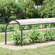 Vidaxl doorzichtig zeildoek met zeilringen 1x12 m polyethyleen