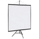 Vidaxl projectiescherm met statief 67 inch 1:1