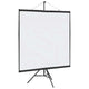 Vidaxl projectiescherm met statief 81 inch 1:1