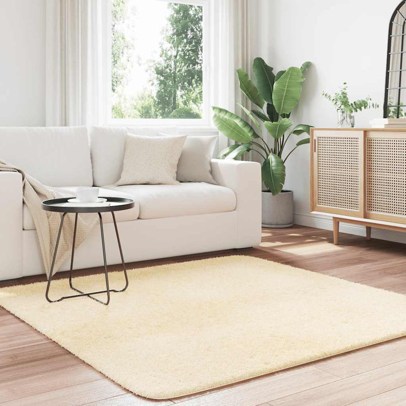 ギャラリービューアに画像をロードする, Vidaxl hoogpolig vloerkleed navarra 160x160 cm polyester crèmekleurig
