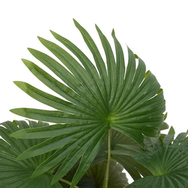 Vidaxl kunstpalmplant 9 bladeren 65 cm groen