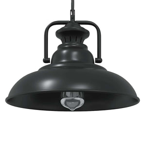 Vidaxl hanglamp e27 ø 31 cm ijzer zwart