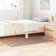 Vidaxl antislip shaggy tapijt bruin 80 x 150 cm pp