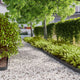 Vidaxl gazonranden 50 st 10x103 cm koudgewalst staal zwart