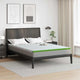 Vidaxl matrastopper wit en groen 160 x 200 cm jacquard stof