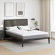 Vidaxl matrastopper wit 160 x 200 cm jacquard stof