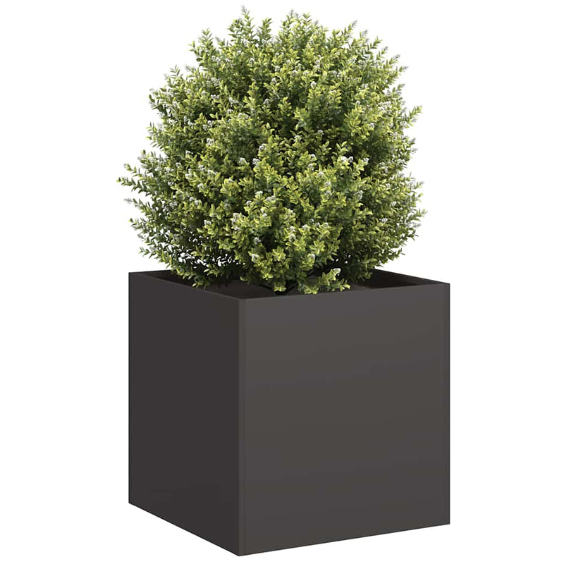 Afbeelding laden in galerijviewer, Vidaxl plantenbak 40x40x40 cm koudgewalst staal zwart

