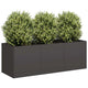 Vidaxl plantenbak zwart 120x40x40 cm koudgewalst staal