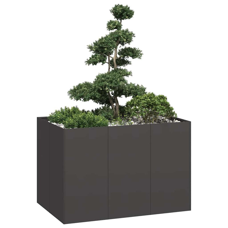 Afbeelding laden in galerijviewer, Vidaxl plantenbak 120x80x80 cm staal zwart
