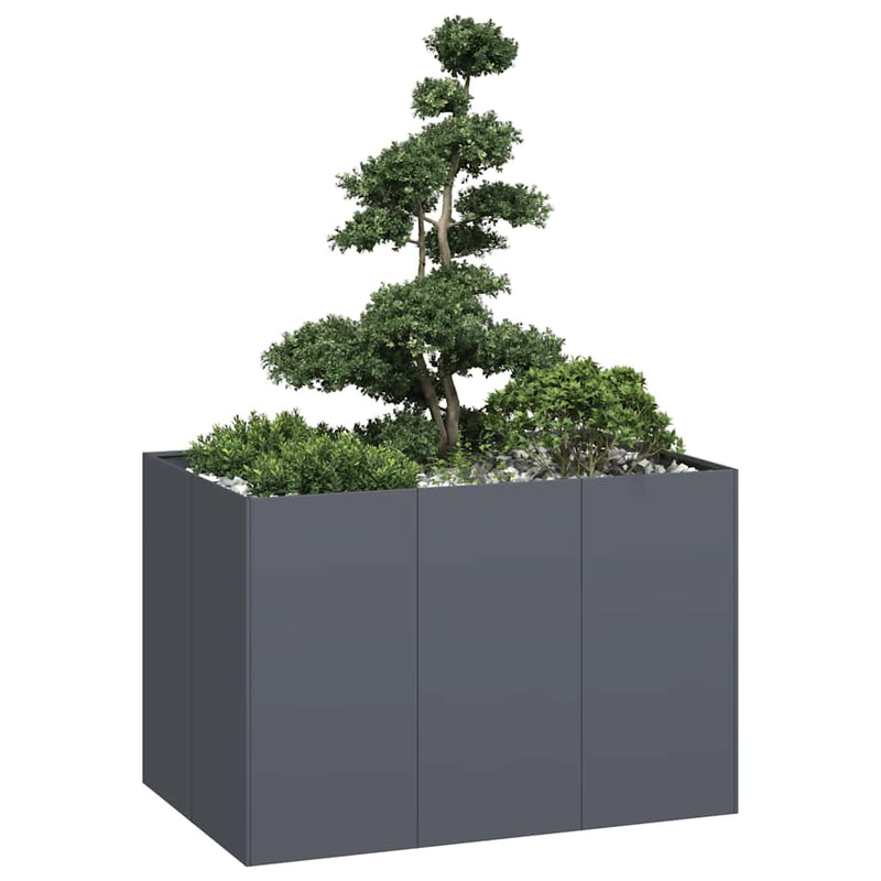 Afbeelding laden in galerijviewer, Vidaxl plantenbak 120x80x80 cm staal antracietkleurig
