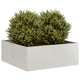 Vidaxl plantenbak 80x80x30 cm roestvrij staal