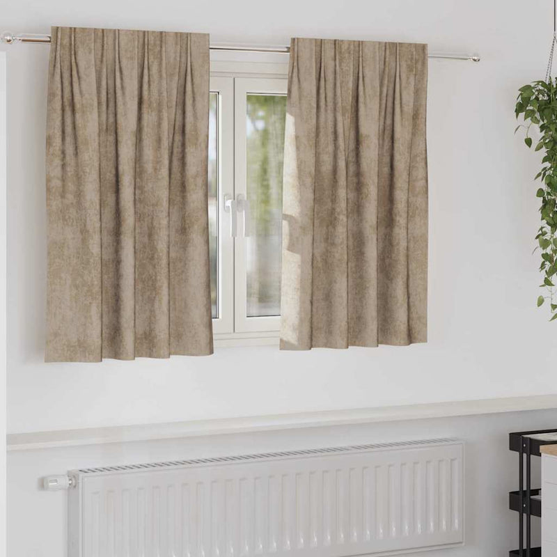 Afbeelding laden in galerijviewer, Vidaxl velvet gordijnen 2 pcs champagne 140 x 140 cm fluweel
