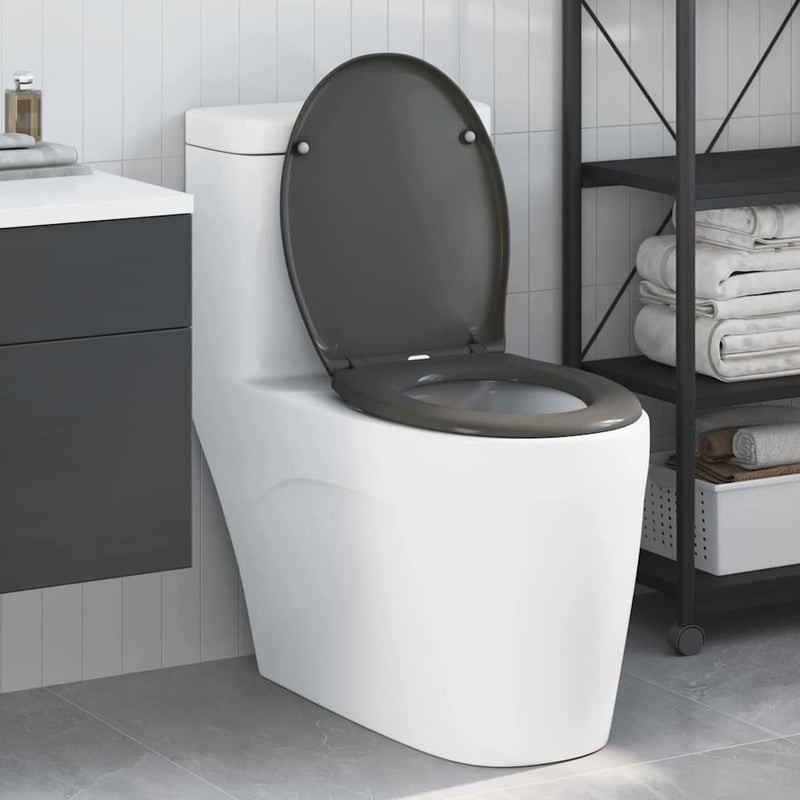 Chargez l'image dans la visionneuse de la galerie, Vidaxl toiletzitting antraciet 47 x 37 x 4 cm duroplast
