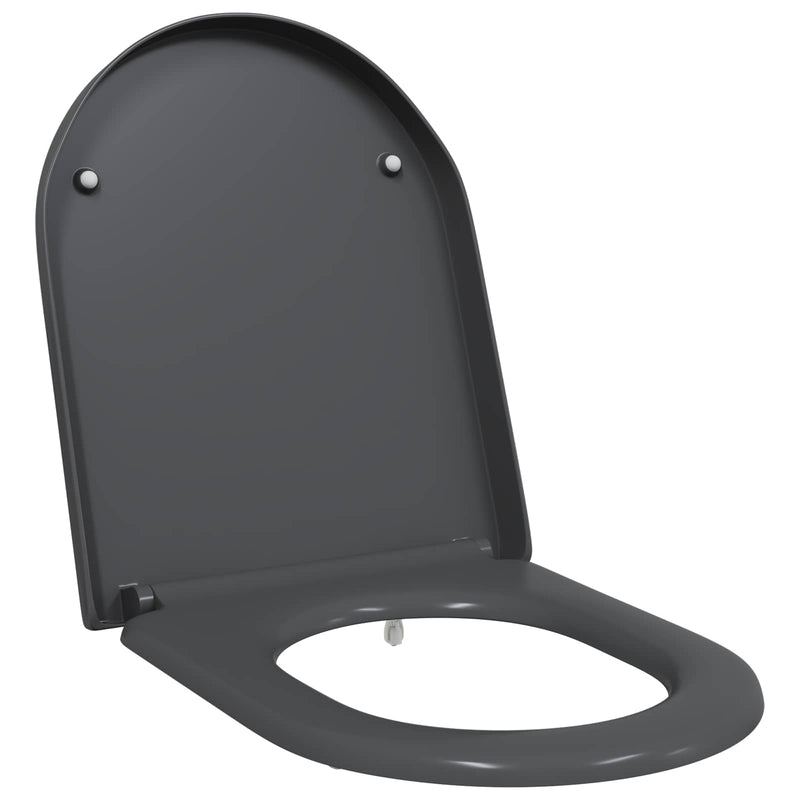 Chargez l'image dans la visionneuse de la galerie, Vidaxl toiletzitting antraciet 49 x 36 x 4 cm duroplast
