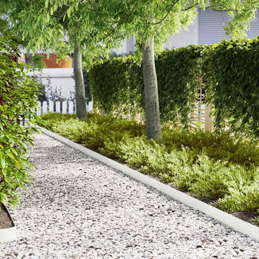 Vidaxl tuinrand 30 pcs wit 100 x 0.05 x 20 cm koudgewalst staal