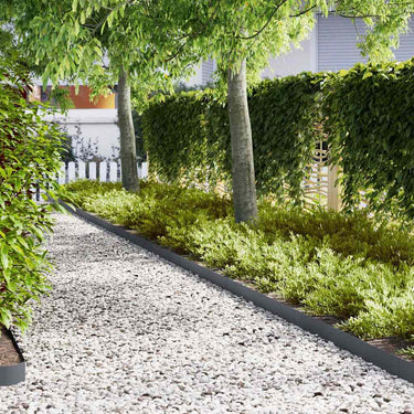 Vidaxl tuinrand 10 pcs antraciet 100 x 0.05 x 20 cm koudgewalst staal
