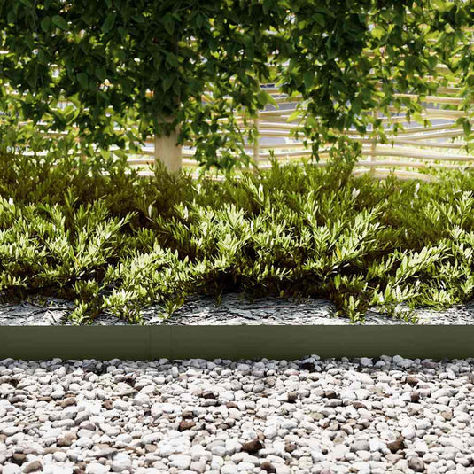 Vidaxl tuinrand 10 pcs olijf groen 100 x 0.05 x 20 cm