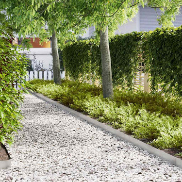 Vidaxl tuinrand 20 pcs zilver 100 x 0.05 x 20 cm roestvrij staal
