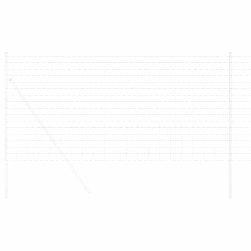 Chargez l'image dans la visionneuse de la galerie, Vidaxl euro hek 1,4 x 10 m pvc-gecoat ijzer
