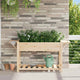 Vidaxl tuin bloempot beige 155 x 59 x 76,5 cm massief vurenhout