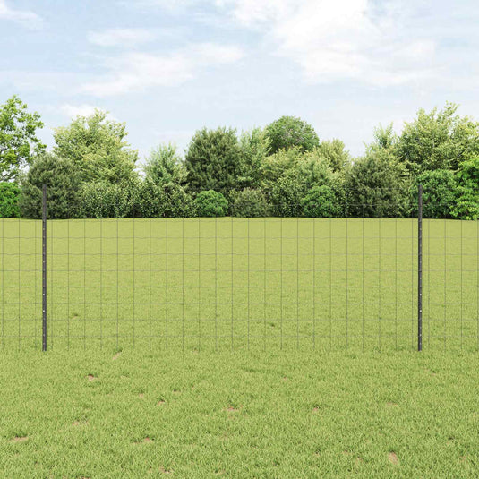 Vidaxl hek met paal grijs 1 x 10 m staal