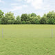 Vidaxl hek met paal zilver 0,4 x 10 m staal
