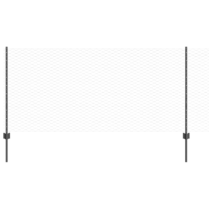 Chargez l'image dans la visionneuse de la galerie, Vidaxl hek met paal grijs 1 x 10 m staal en pvc
